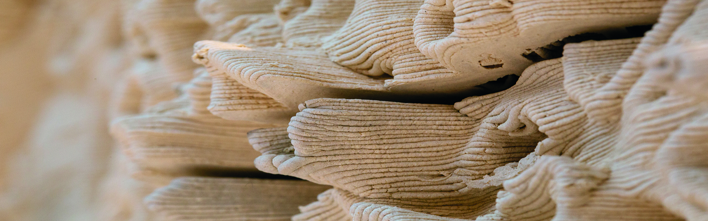 imagen-textura-escultura-3D-alvex